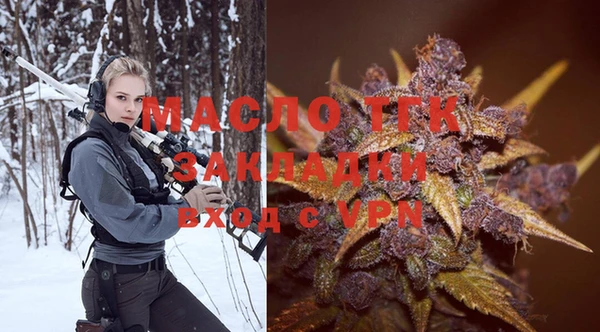 дурь Няндома