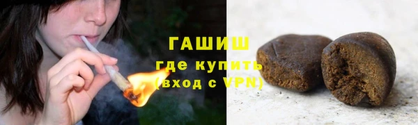 индика Арсеньев