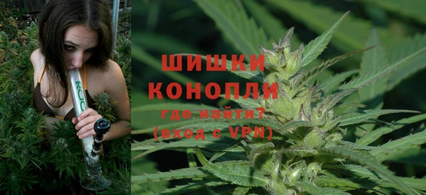 индика Арсеньев